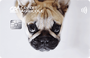 Karta Credit Agricole z grafiką buldoga francuskiego patrzącego do góry